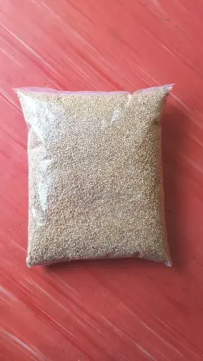 Unpolished Kodo Millet
