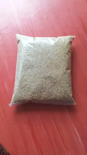 Unpolished Browntop Millet