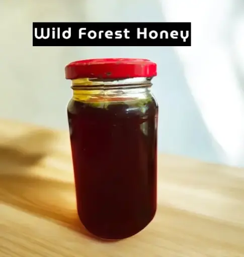 Wild Forest Honey